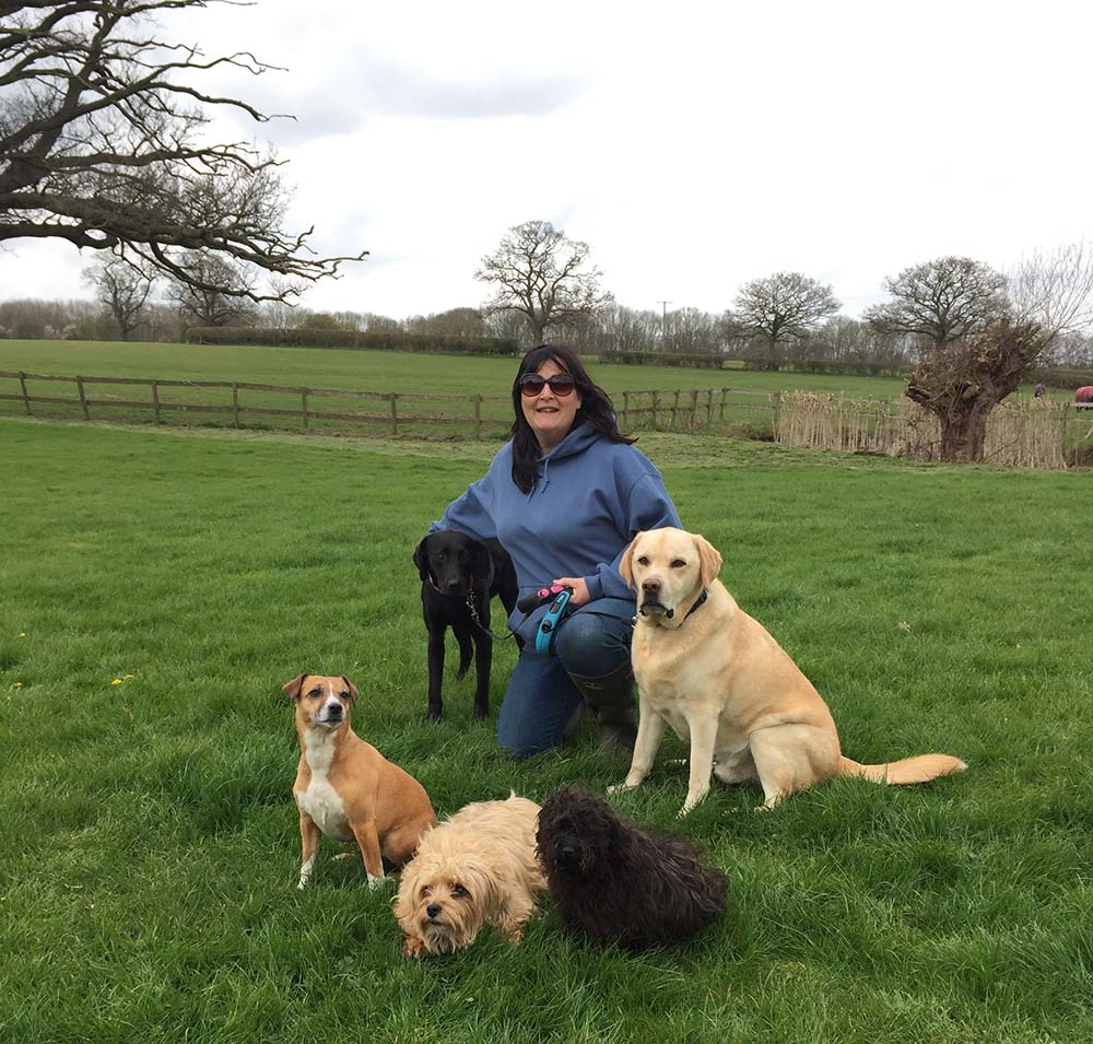Jo and the dogs